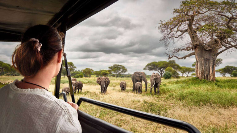 9 Days Ultimate Tanzanian Wildlife Safari