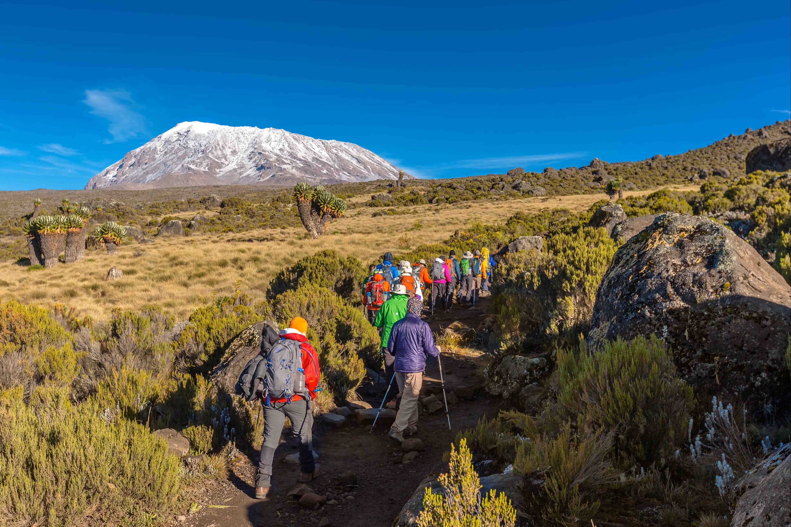 Moir Hut on Kilimanjaro