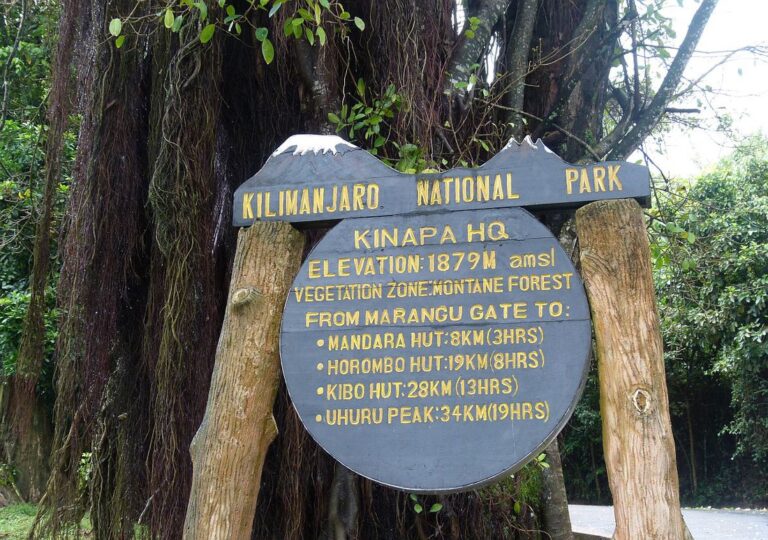Why Choose The Marangu Route for Your Kilimanjaro Adventure?