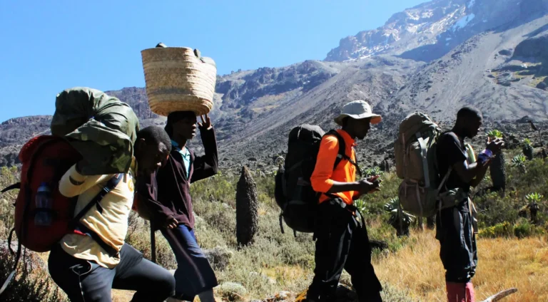 How Kilimanjaro Local Guides & Porters Make Your Summit Dream a Reality