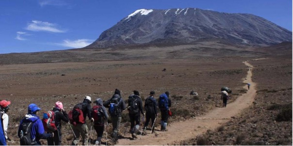 Why Choose The Marangu Route for Your Kilimanjaro Adventure?