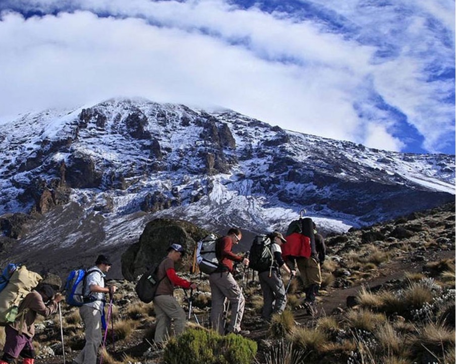 Why Choose The Northern Circuit Route for Your Kilimanjaro Adventure?