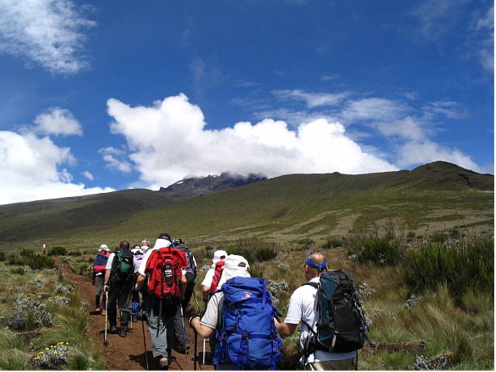 Why Choose The Northern Circuit Route for Your Kilimanjaro Adventure?
