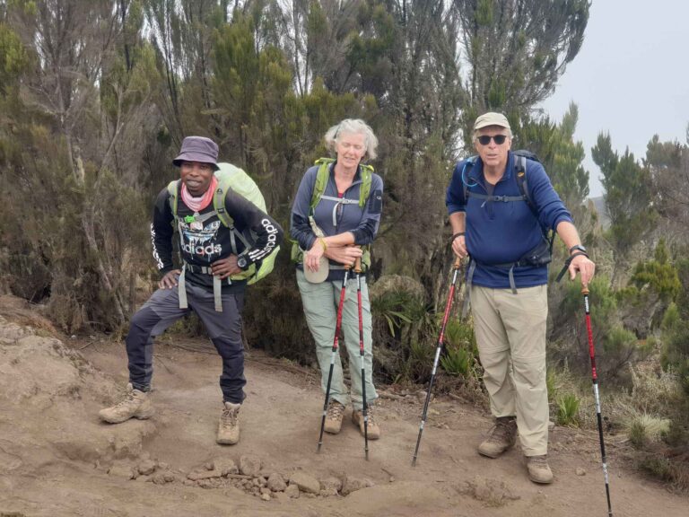 kilimanjaro expeditions_