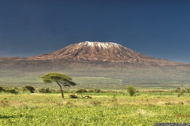 Hiking Kilimanjaro's 6 Unique Climates.