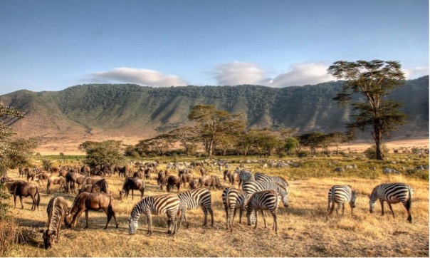10 Unforgettable Things to See on Your Tanzania Safari.