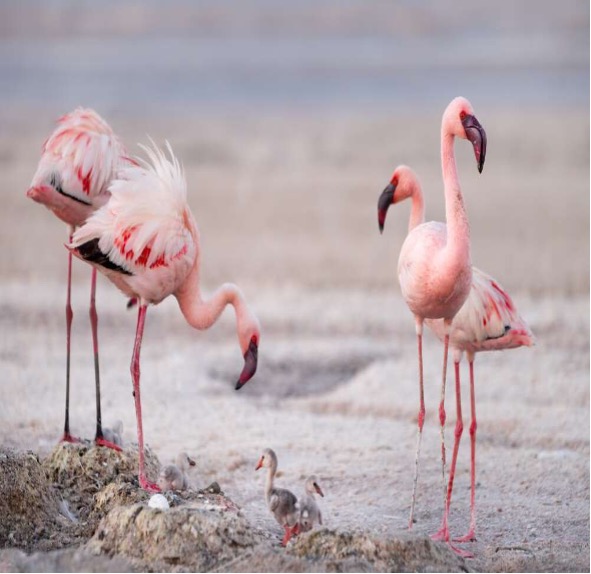 10 Unforgettable Things to See on Your Tanzania Safari.