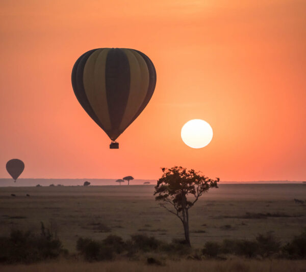 Hot air Ballon Safari Hot air Ballon Safari