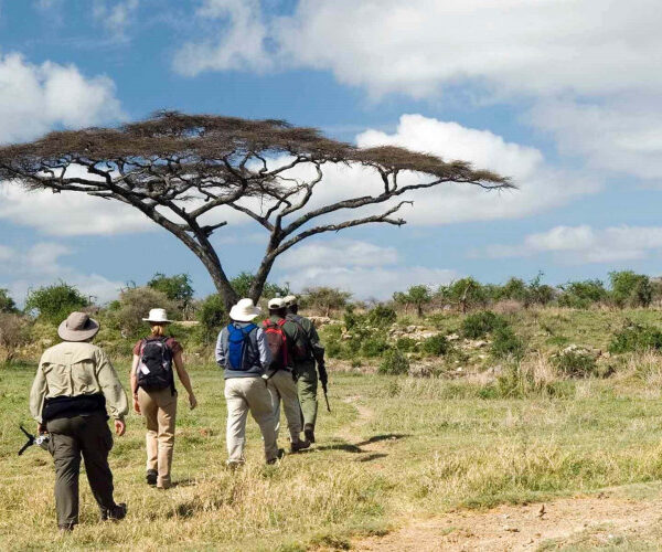 Walking-safari-in-Ruaha-NP