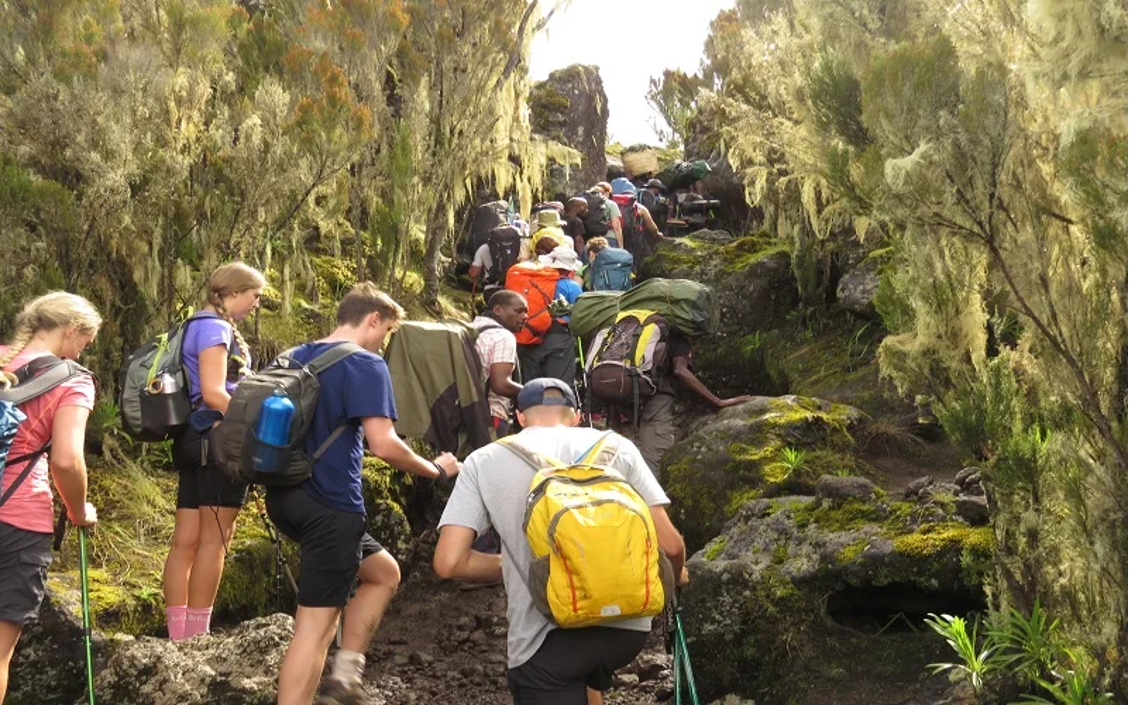 Your Ultimate Guide to Preparation and Trekking Safety on Kilimanjaro