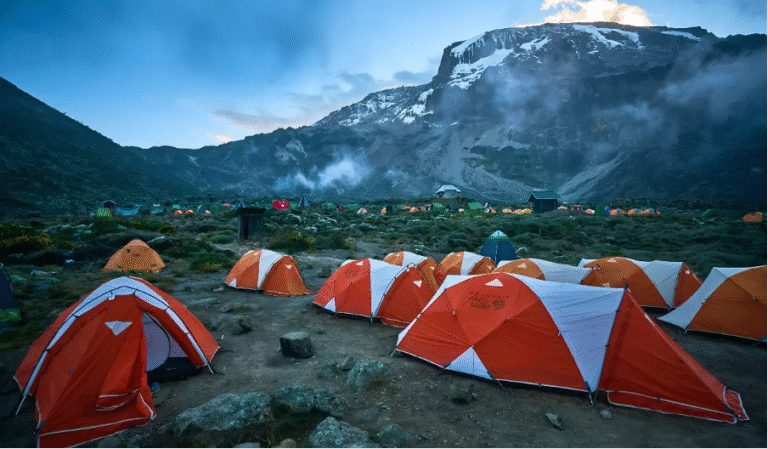 Your Ultimate Guide to Preparation and Trekking Safety on Kilimanjaro