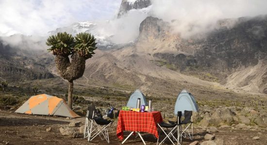 Kilimanjaro Luxury Climbs